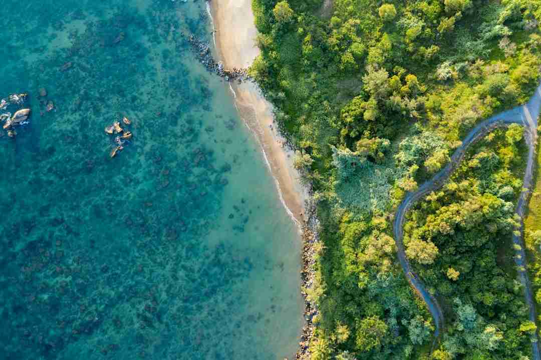 Aerial view of a curving beach between clear blue water and green forest